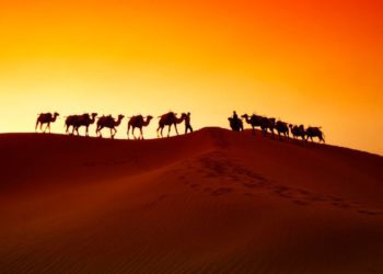 Silk Road